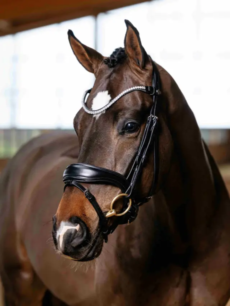 LeMieux Kudos Anatomic Dressage Bridle Black