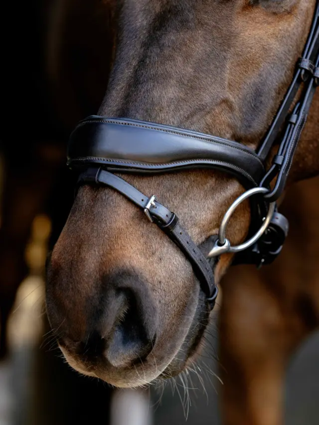 LeMieux Kudos Anatomic Dressage Bridle Brown