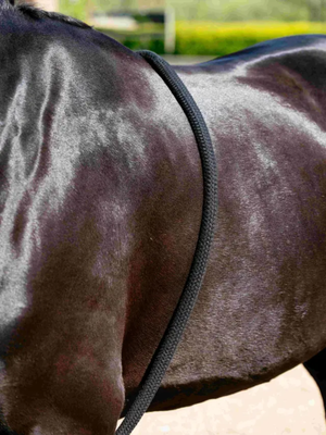 LeMieux Rope Lunging Aid Black
