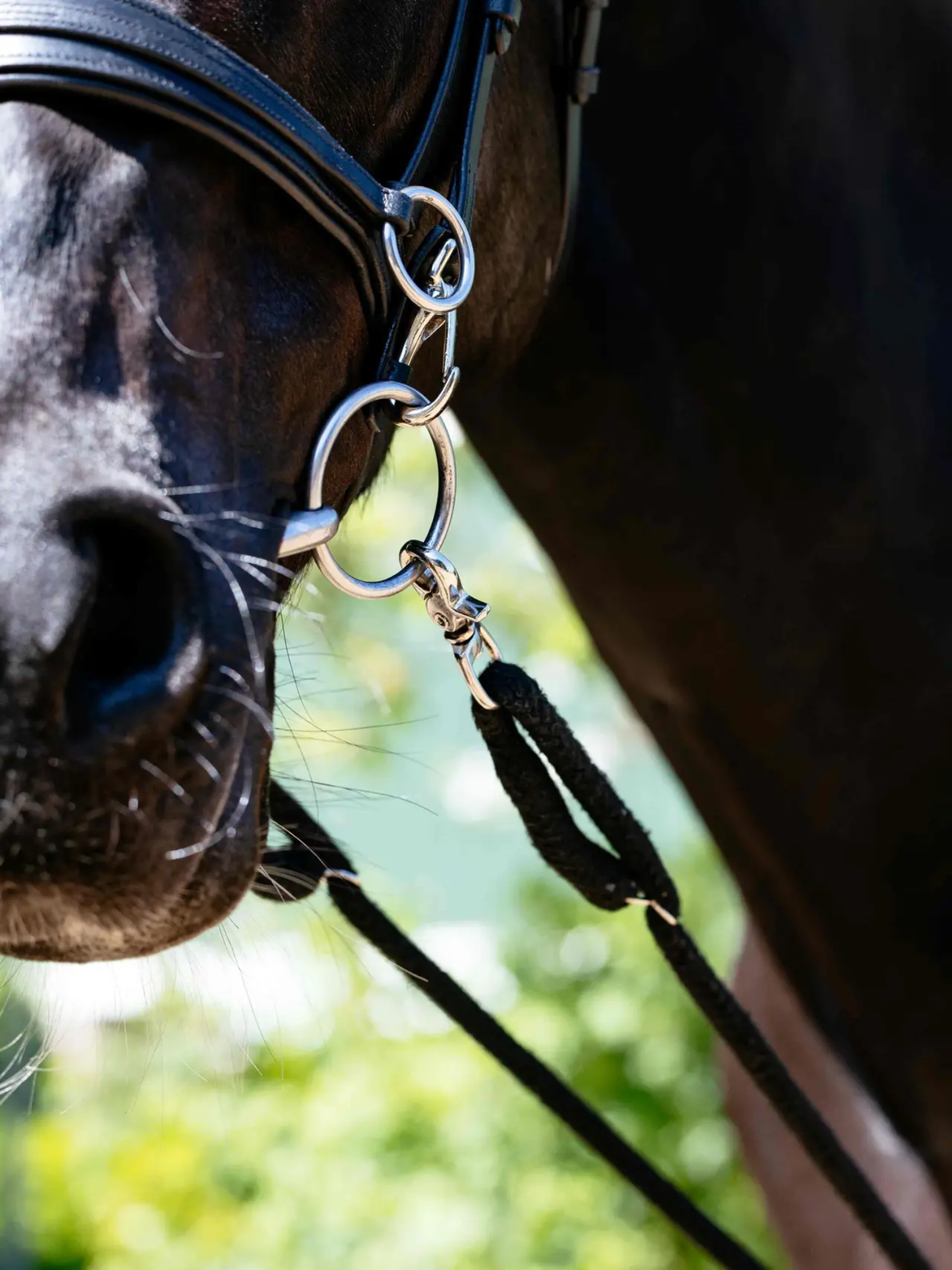 LeMieux Rope Lunging Aid Black