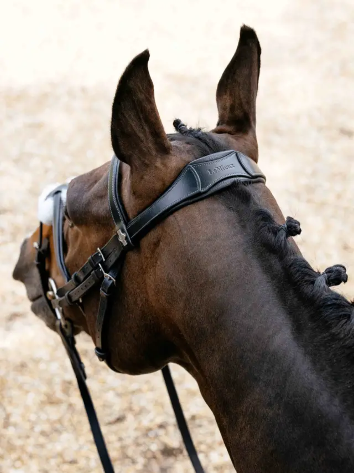 LeMieux Arika Anatomic Grackle Bridle Black/Silver