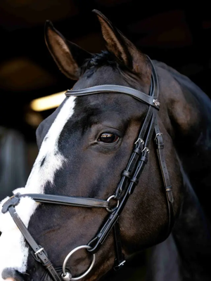 LeMieux Arika Anatomic Grackle Bridle Black/Silver