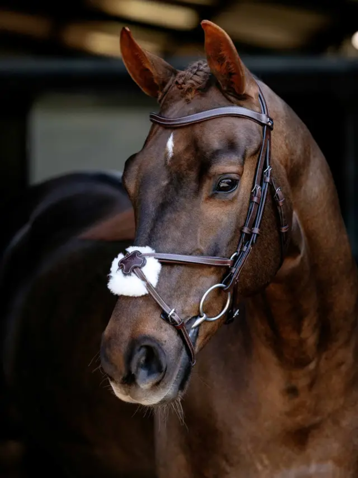 LeMieux Arika Anatomic Grackle Bridle Havana/Silver