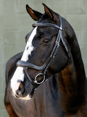 LeMieux Arika Anatomic Split Noseband Bridle Black/Silver