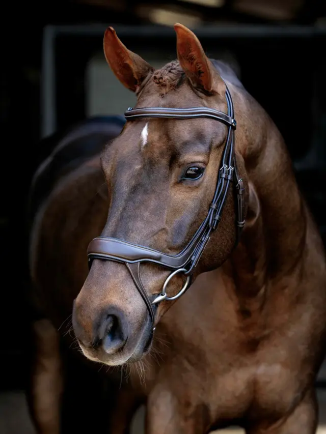 LeMieux Arika Anatomic Split Noseband Bridle Brown/Silver
