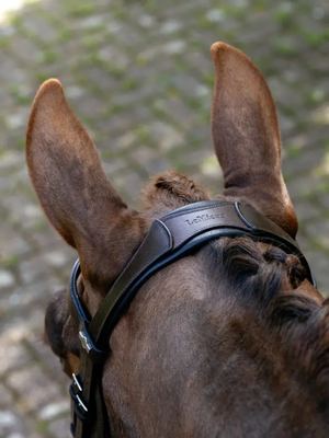 LeMieux Arika Anatomic Split Noseband Bridle Brown/Silver