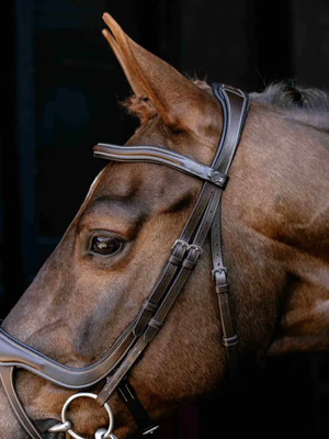 LeMieux Arika Anatomic Split Noseband Bridle Brown/Silver