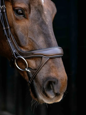 LeMieux Arika Anatomic Split Noseband Bridle Brown/Silver