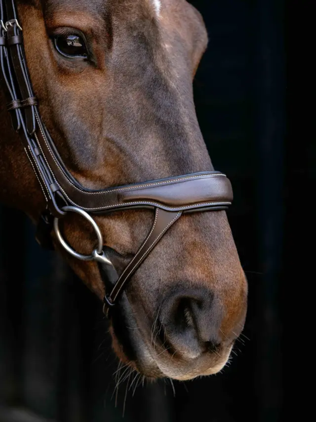LeMieux Arika Anatomic Split Noseband Bridle Brown/Silver