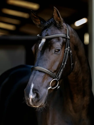 LeMieux Arika Anatomic Cavesson Bridle Black/Silver