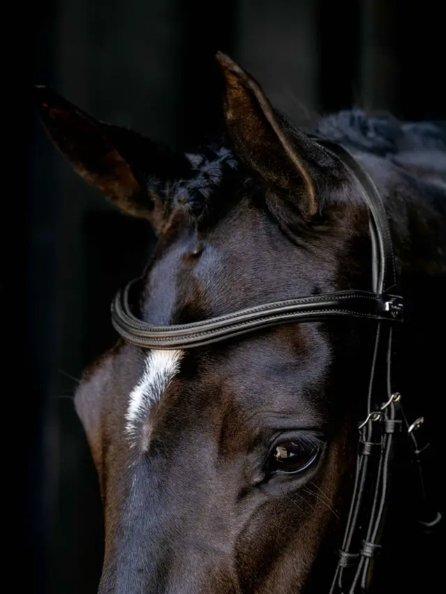 LeMieux Arika Anatomic Cavesson Bridle Black/Silver