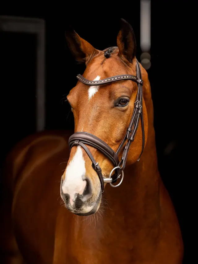 LeMieux Arika Anatomic Dressage Bridle Brown/Silver