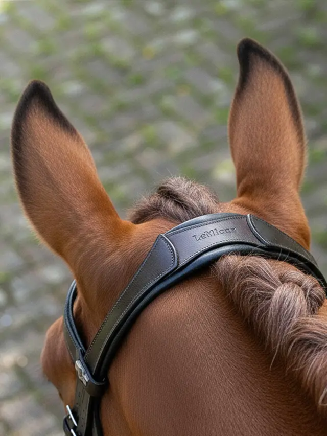 LeMieux Arika Anatomic Dressage Bridle Brown/Silver