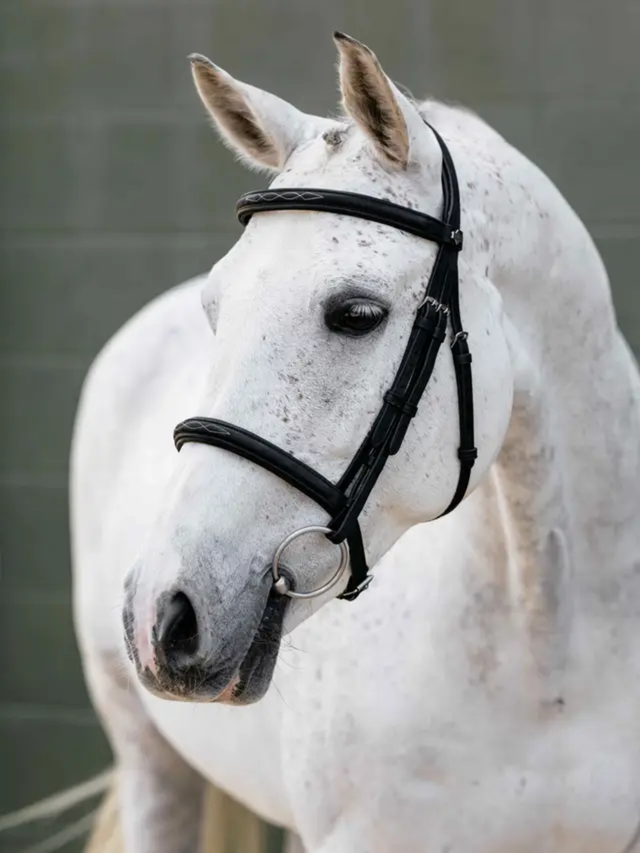 LeMieux Arika Classique Cavesson Bridle Black