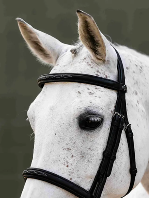 LeMieux Arika Classique Cavesson Bridle Black