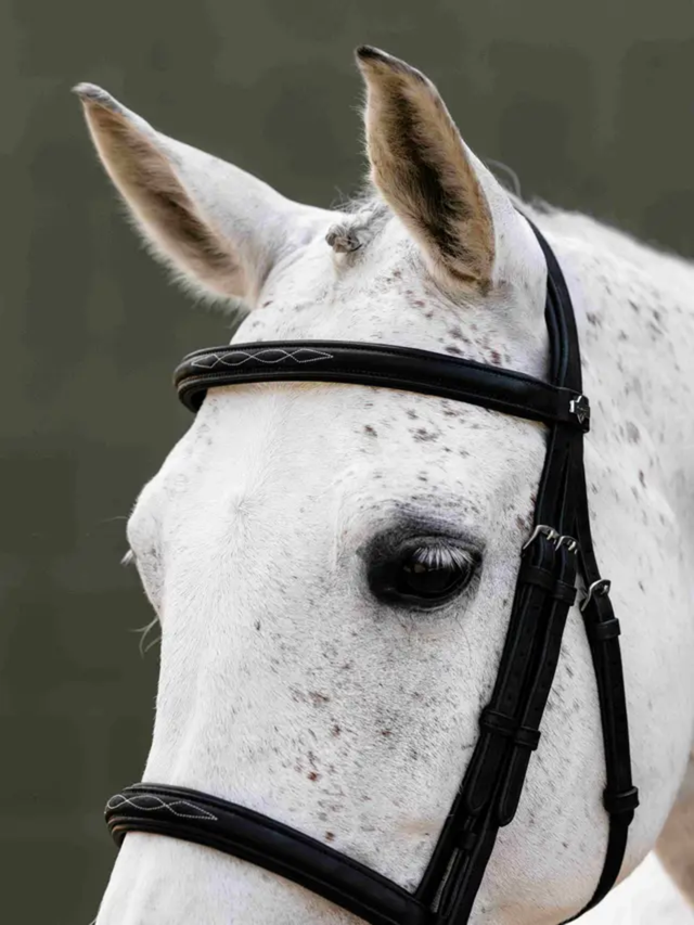 LeMieux Arika Classique Cavesson Bridle Black