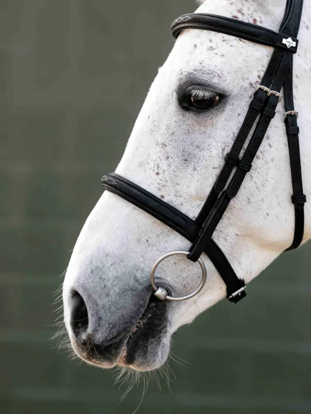 LeMieux Arika Classique Cavesson Bridle Black