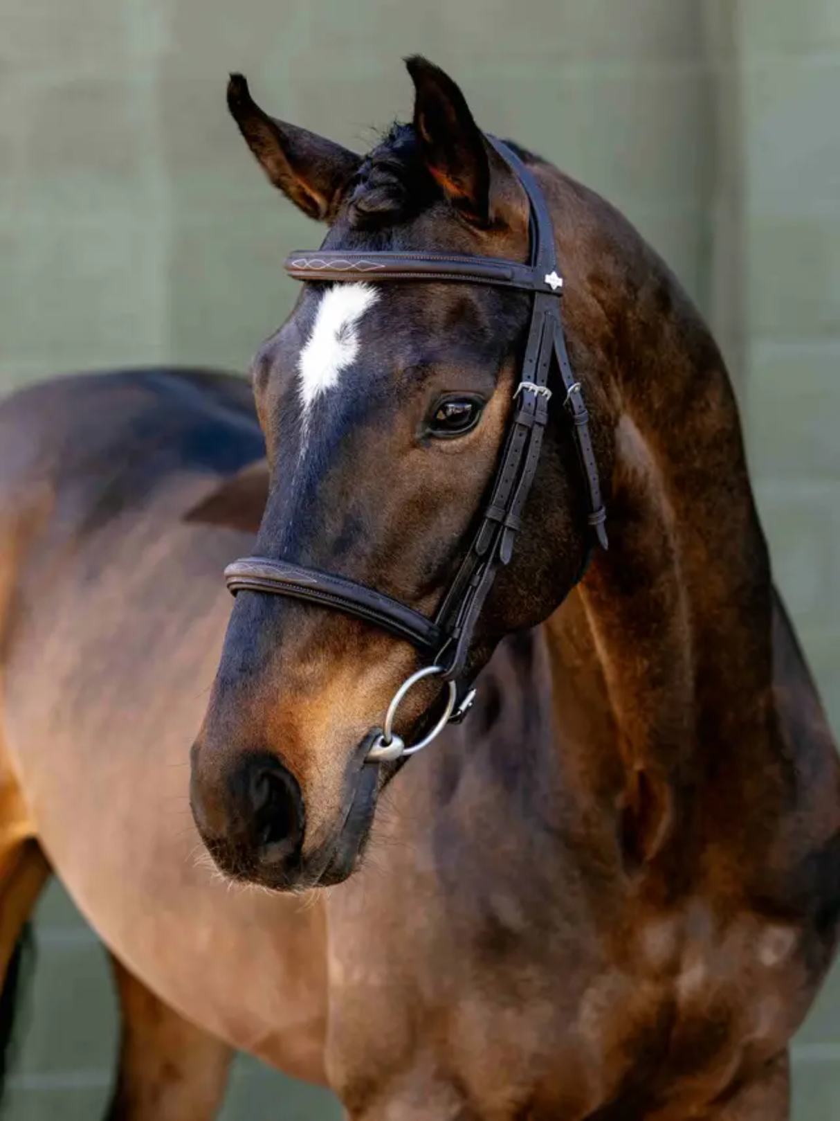 LeMieux Arika Classique Cavesson Bridle Brown