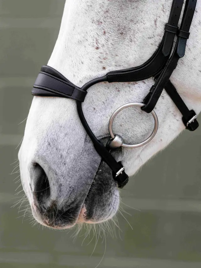 LeMieux Arika Anatomic Adjustable Noseband Bridle Black/Silver