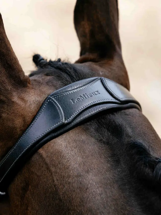 LeMieux Arika Anatomic Drop Bridle Black/Silver