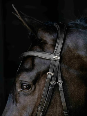 LeMieux Arika Anatomic Drop Bridle Black/Silver