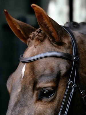 LeMieux Arika Anatomic Drop Bridle Brown/Silver