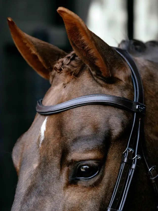 LeMieux Arika Anatomic Drop Bridle Brown/Silver