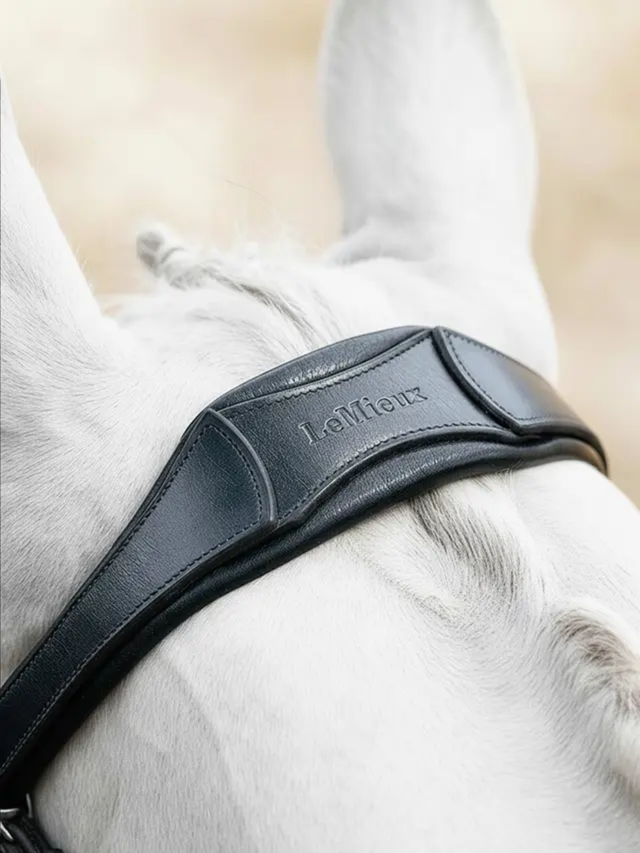 LeMieux Arika Anatomic Flash Bridle Black/Silver