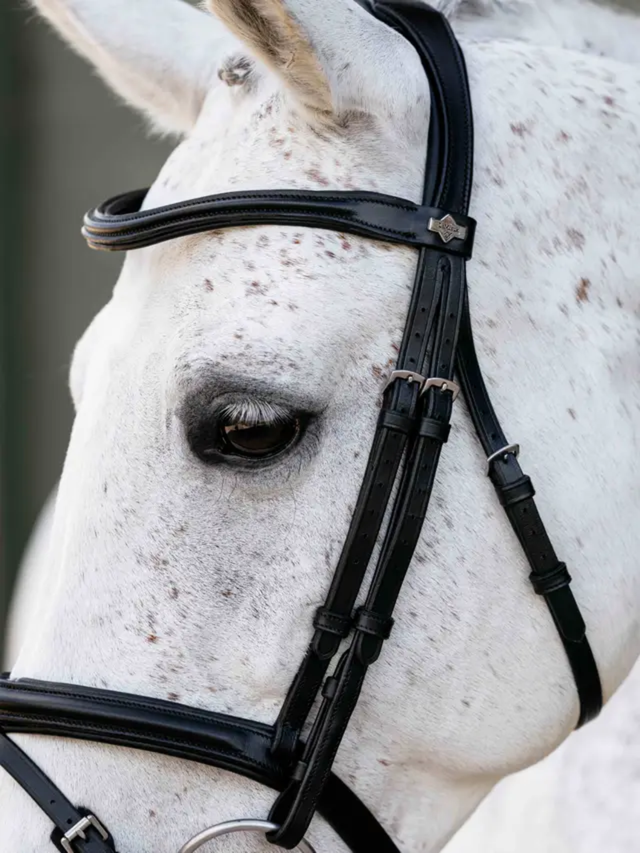 LeMieux Arika Anatomic Flash Bridle Black/Silver
