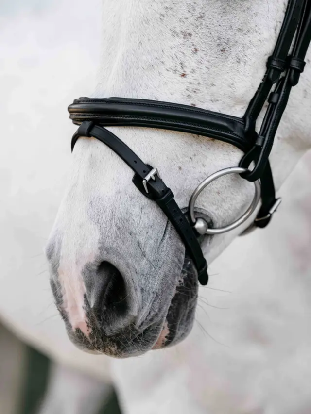 LeMieux Arika Anatomic Flash Bridle Black/Silver