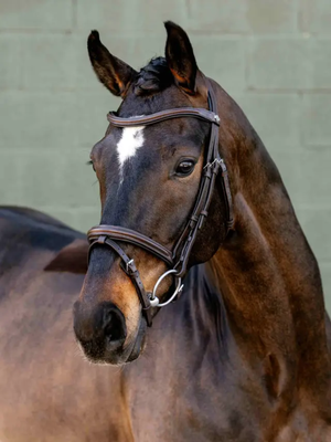 LeMieux Arika Anatomic Flash Bridle Brown/Silver