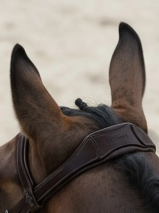 LeMieux Arika Anatomic Flash Bridle Brown/Silver