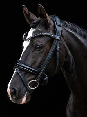 SD Design Diamond Bridle Black