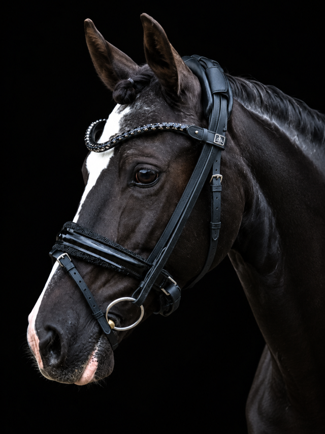 SD Design Diamond Bridle Black