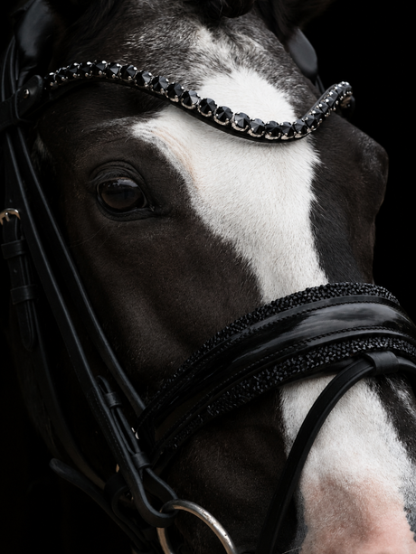 SD Design Diamond Bridle Black