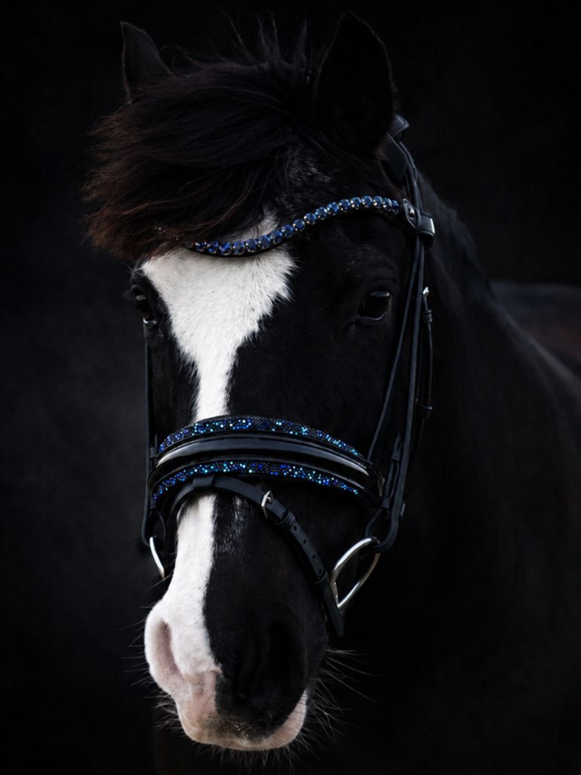 SD Design Diamond Bridle Navy