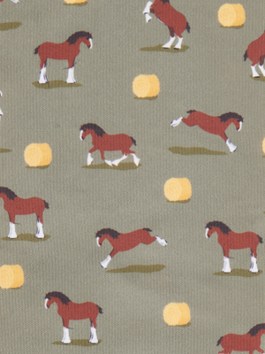 LeMieux Footsie Socks Clydesdale