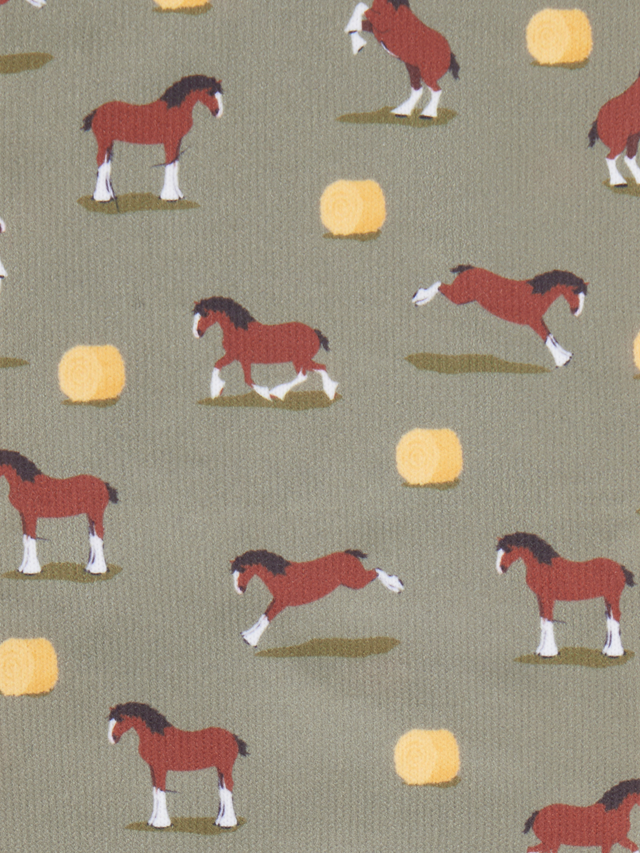 LeMieux Footsie Socks Clydesdale