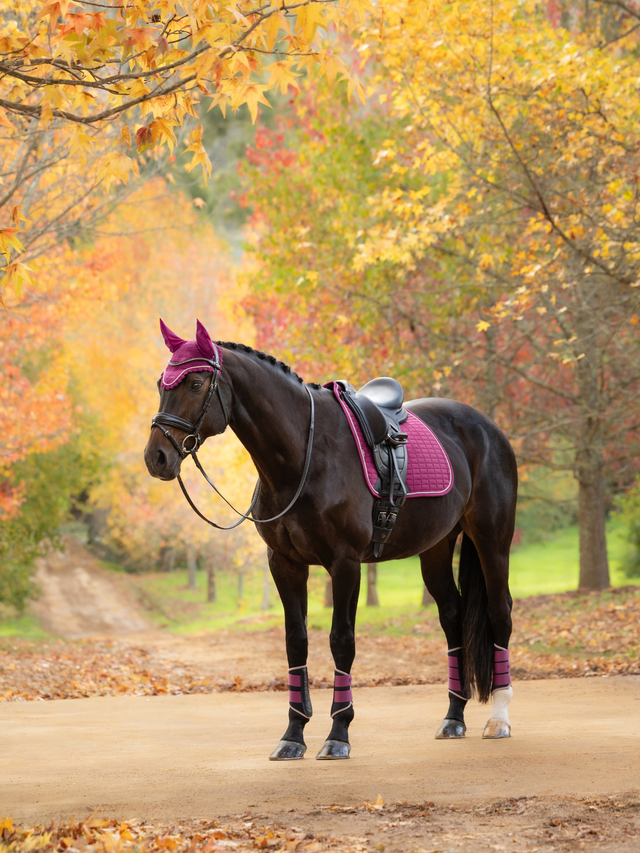LeMieux Suede Dressage Saddle Pad Blackberry