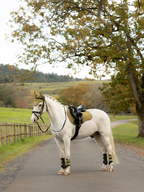 LeMieux Suede GP Saddle Pad Gooseberry