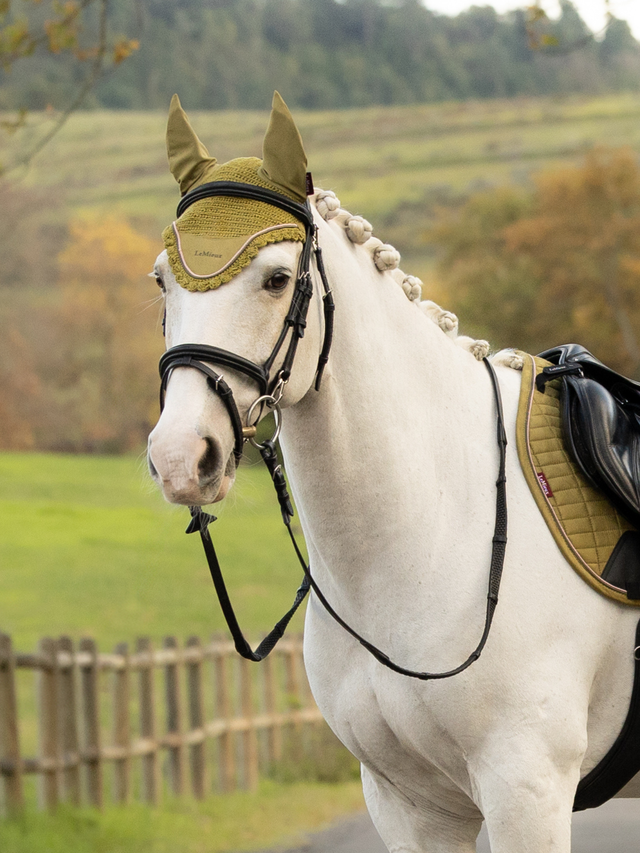 LeMieux Classic Fly Hood Gooseberry