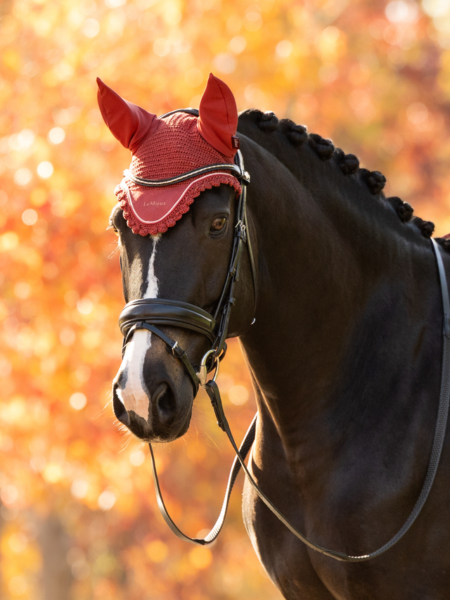 LeMieux Classic Fly Hood Russet
