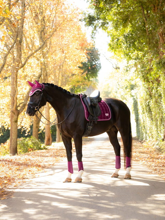 LeMieux Loire Classic Dressage Saddle Pad Blackberry
