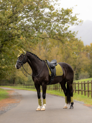 LeMieux Loire Classic Dressage Saddle Pad Gooseberry