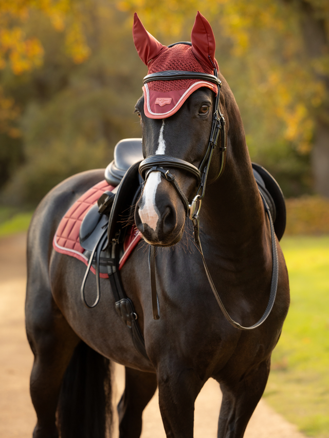 LeMieux Loire Ear Bonnet Russet