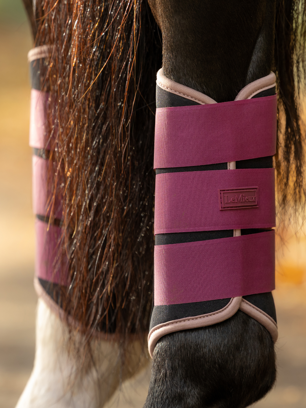 LeMieux Air-Tek Grafter Brushing Boots Blackberry