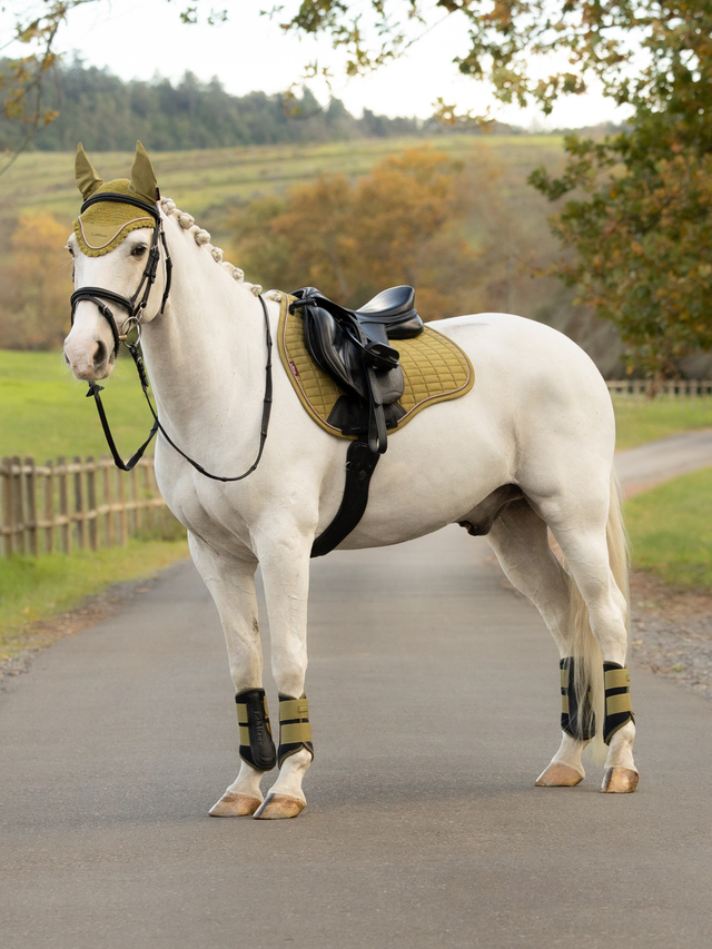LeMieux Air-Tek Grafter Brushing Boots Gooseberry