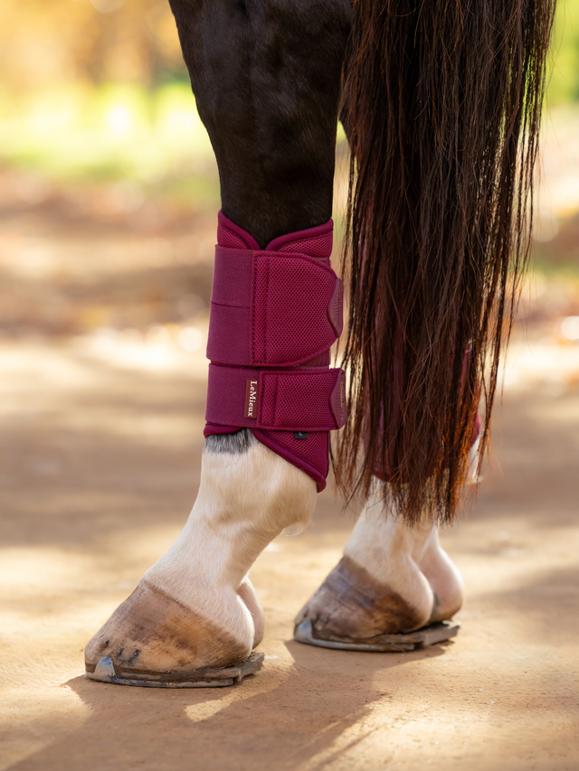 LeMieux Arika Mesh Brushing Boots Blackberry