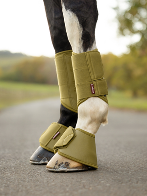LeMieux Arika Over Reach Boots Gooseberry