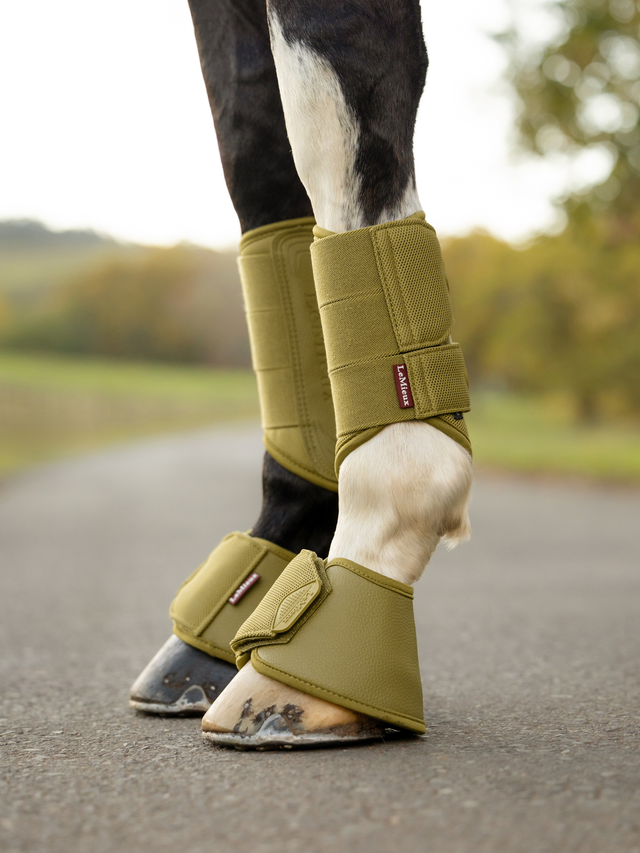 LeMieux Arika Over Reach Boots Gooseberry